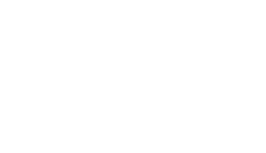Hotel Delfin Logo
